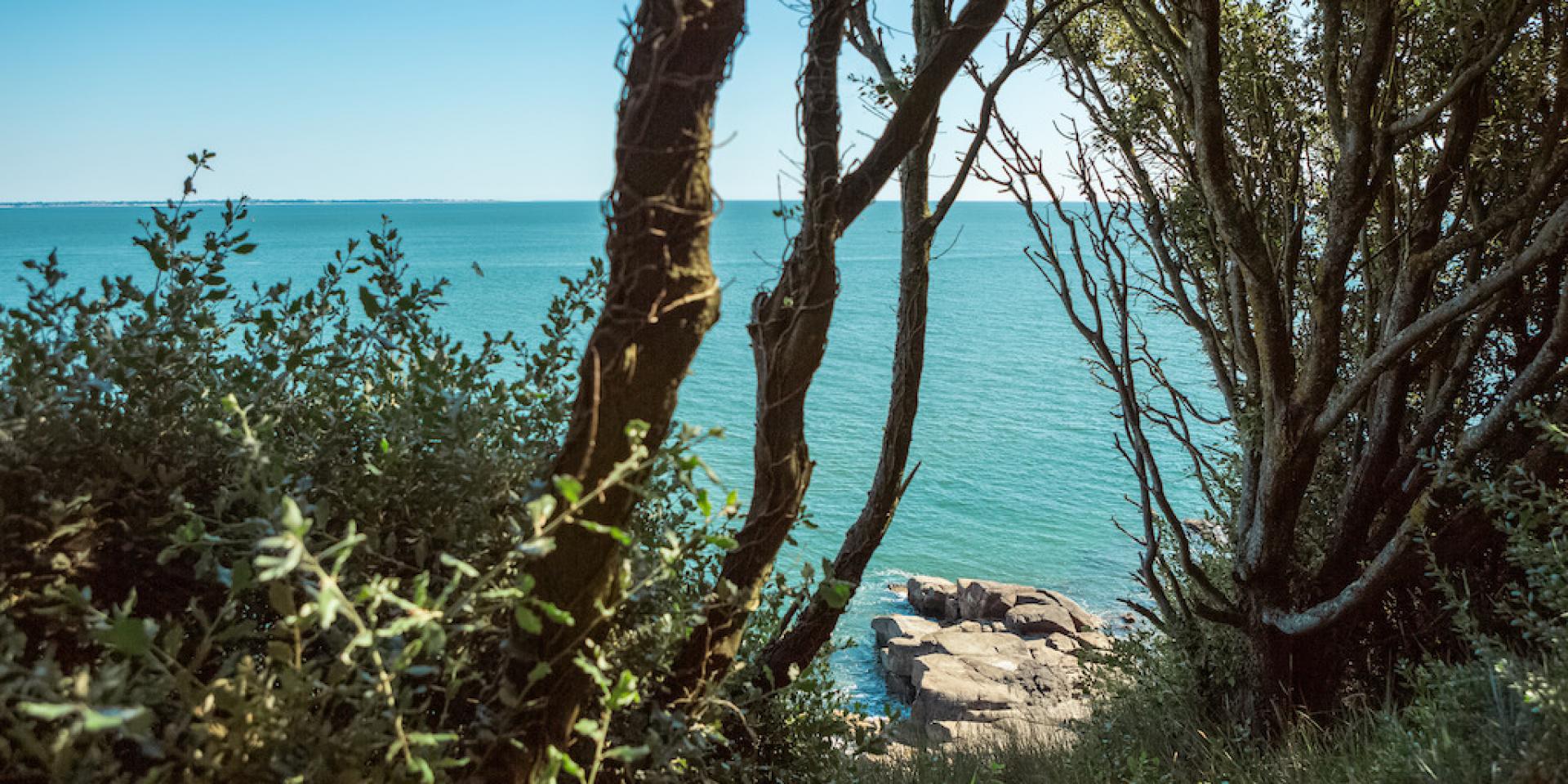 Chemin Cotier Saint-Nazaire