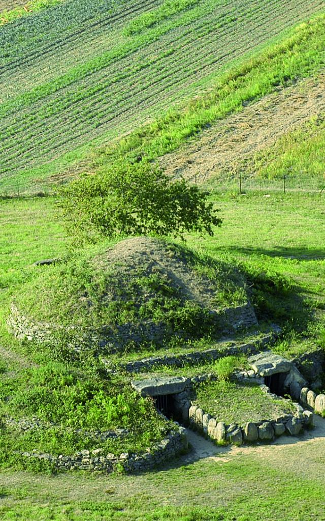 visite-tumulus-de-dissignac-st-nazaire-crdit-d-macel.jpg