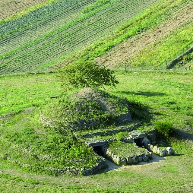 visite-tumulus-de-dissignac-st-nazaire-crdit-d-macel.jpg