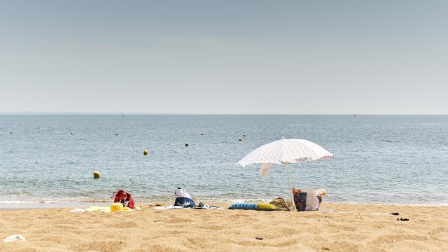 plage-de-monsieur-hulotalamoureux.jpg