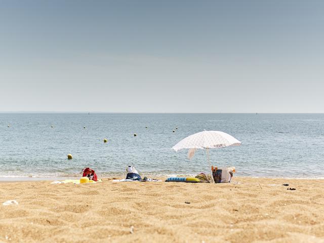 plage-de-monsieur-hulotalamoureux.jpg