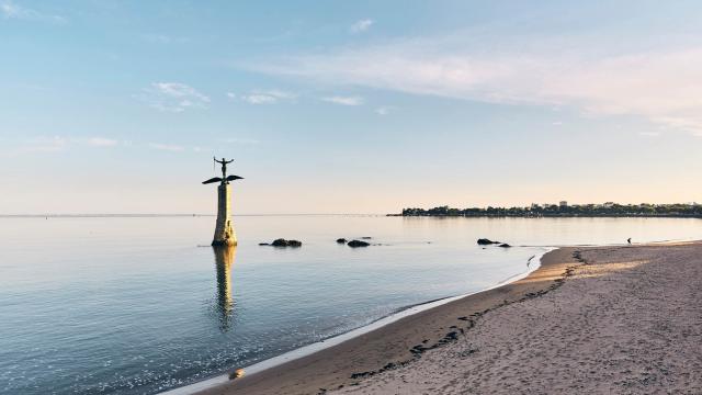 0029-sammy-plage-de-saint-nazaire.jpg