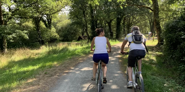 Balade à vélo en Brière