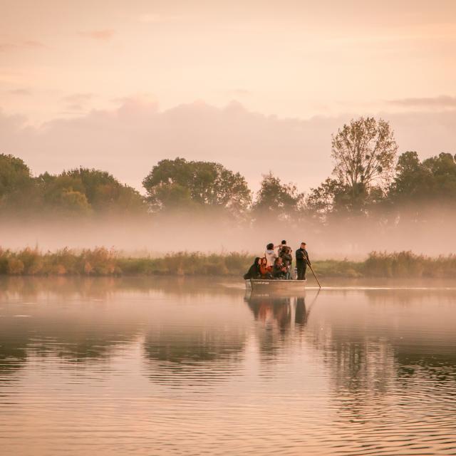 Balade en chaland dans le parc naturel régional de Brière depuis l'ïle de fédrun au lever du jour avec les instagramers nantais.