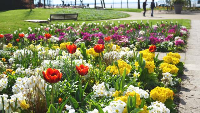 jardin-des-plantes-couleurs-printemps.jpg