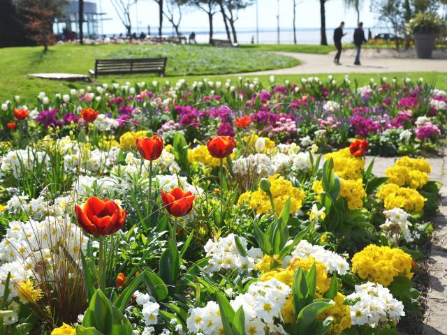 jardin-des-plantes-couleurs-printemps.jpg