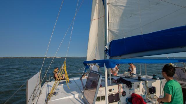 Sortie En Catamaran À Saint Nazaire Avec Mouette&sea (25)