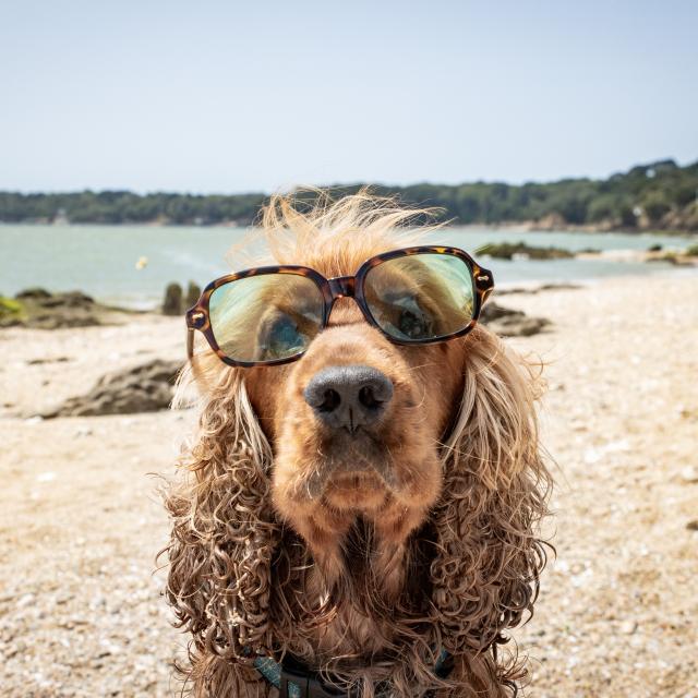 Toutourisme Plage De Ker Villes Jerome Bosger 2023 06 21