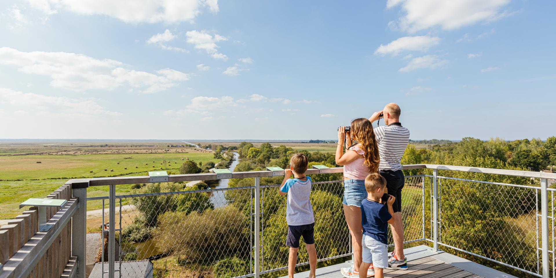 Vue sur les marais de Brière depuis le belvédère de Rozé