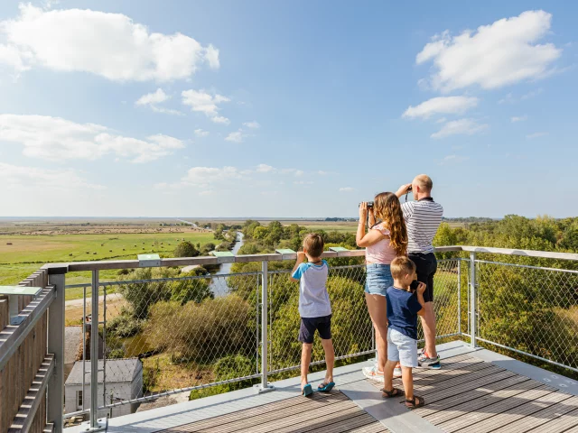 Vue sur les marais de Brière depuis le belvédère de Rozé