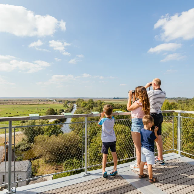 Vue sur les marais de Brière depuis le belvédère de Rozé