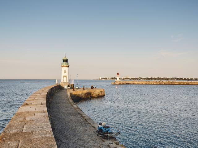 Pince de crabe Saint-Nazaire