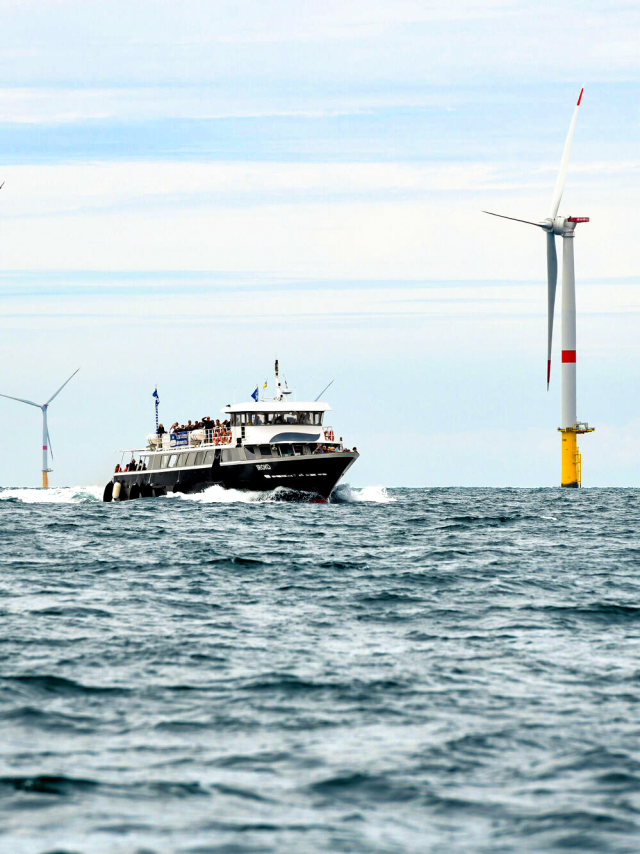 Bateau Iroko à l'occasion d'une croisière découverte du parc Eolien de Saint-Nazaire