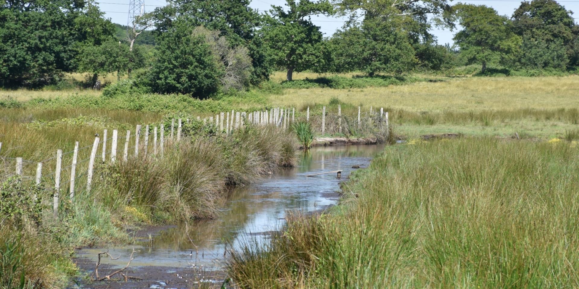 Sentier de randonnée 