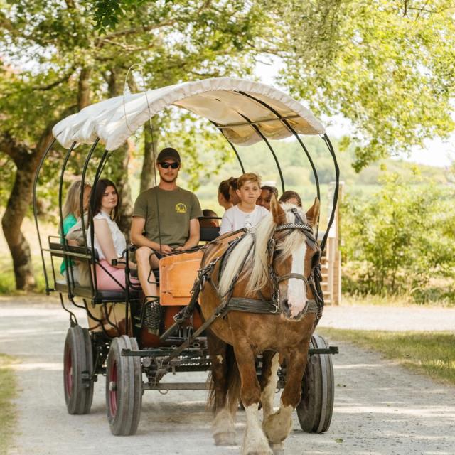 Brière, Chaussée-Neuve, balade en calèche