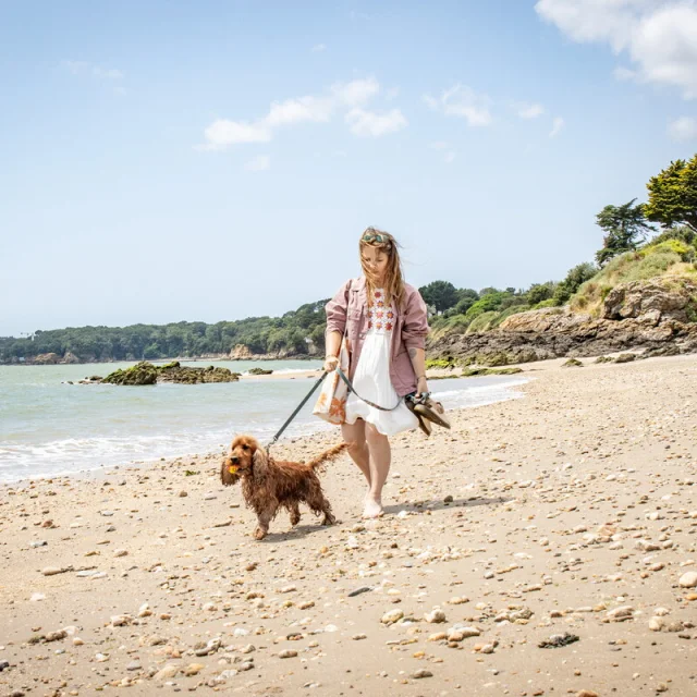 Balade avec son chien à la plage de Ker-Villès