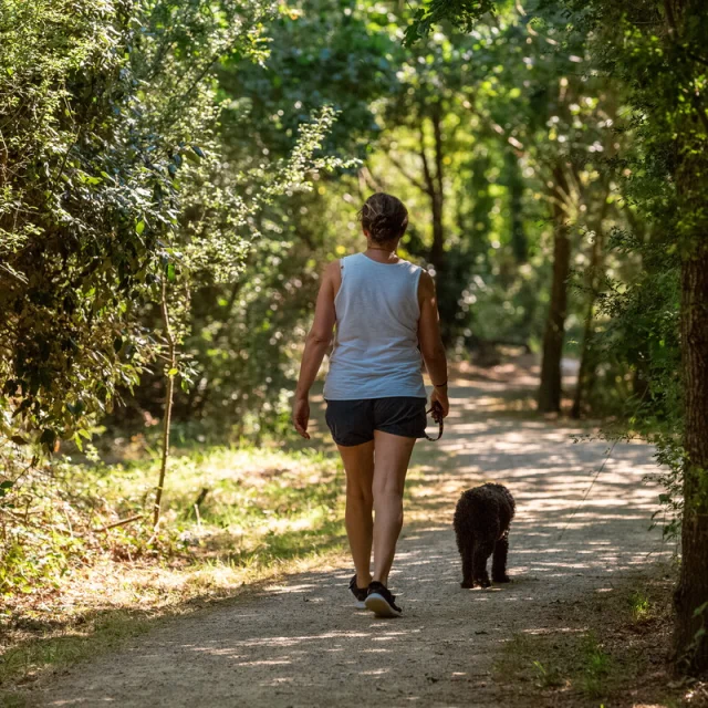 Balade avec son chien au Val de la Courance