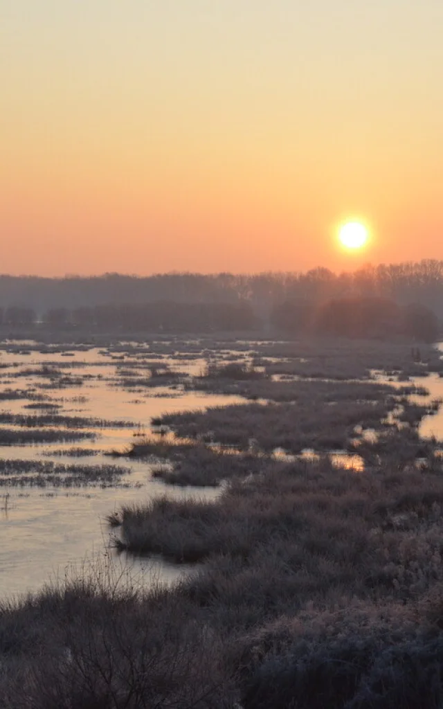 Lever de soleil à La Chaussée Neuve en hiver, Brière