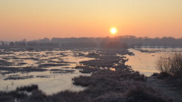 Lever de soleil à La Chaussée Neuve en hiver, Brière