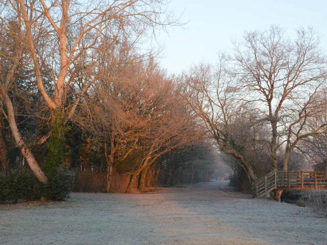 Lever de soleil à La Chaussée Neuve en hiver, Brière